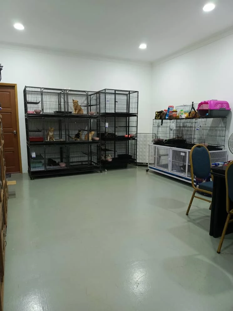 Pet Hotel without Food ( Per Day)-img