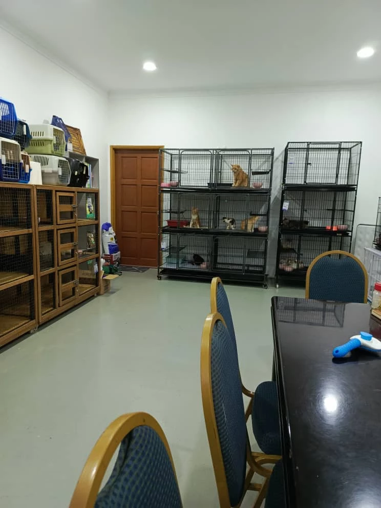 Pet Hotel  All Included (per day)-img